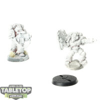 Space Marines - 2x Sternguard Veterans klassisch - grundiert