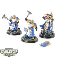 Stormcast Eternals - 3 Sequitors - bemalt